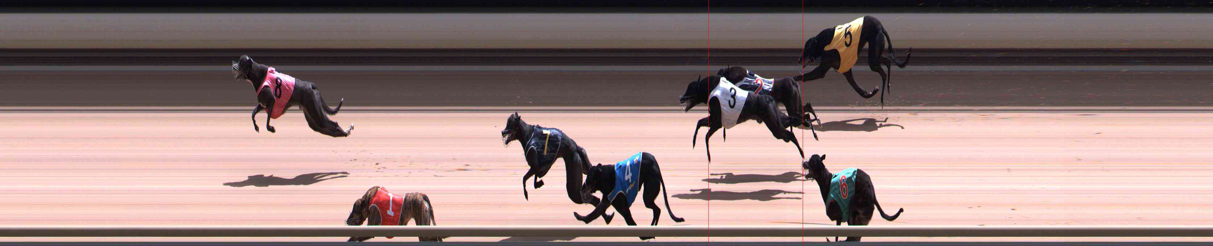 Photo finish for Healesville Race 11