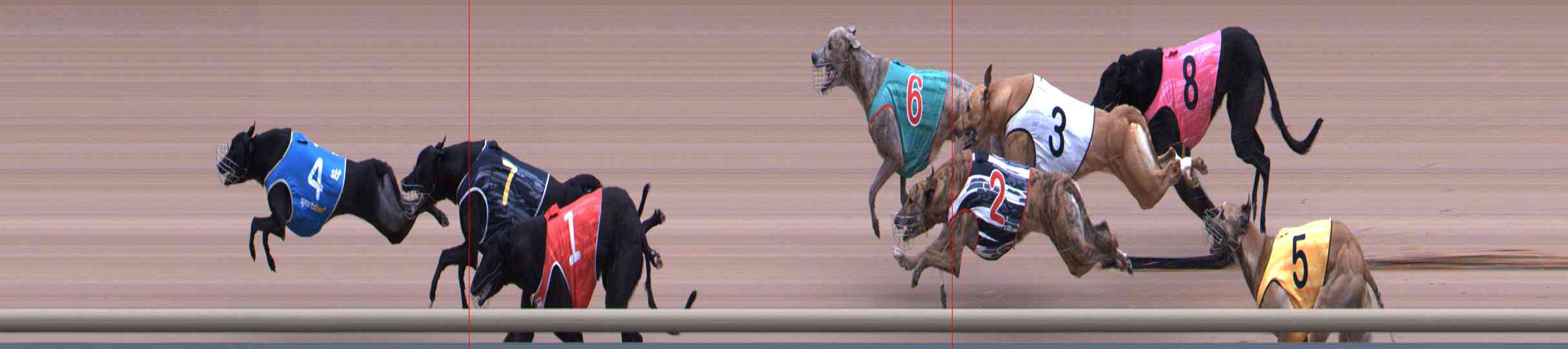 Photo finish for Healesville Race 12
