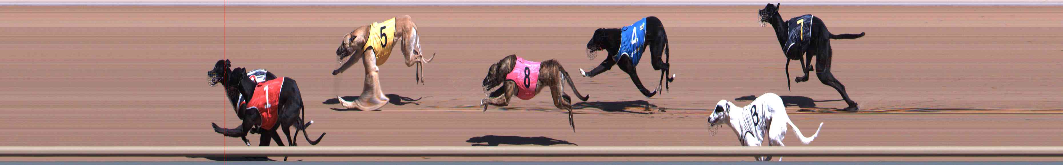 Photo finish for Healesville Race 2