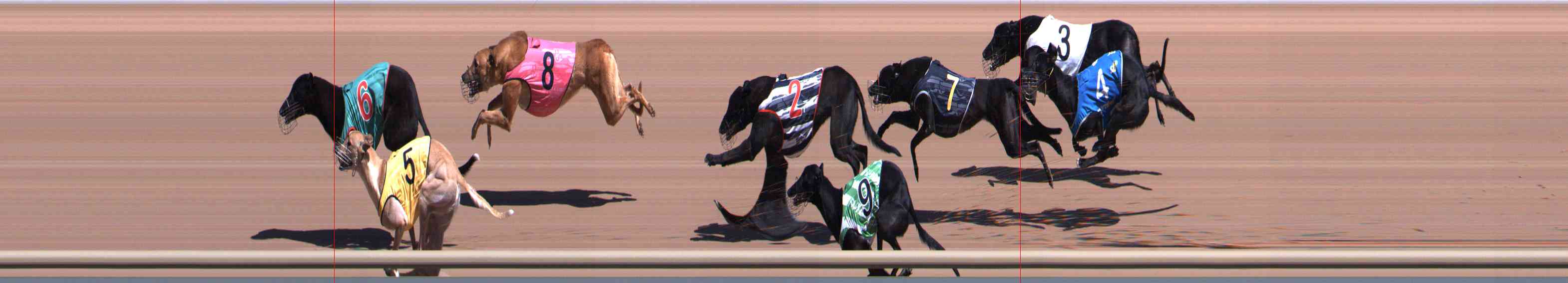 Photo finish for Healesville Race 3
