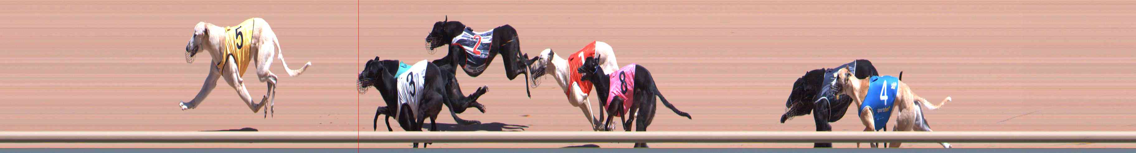 Photo finish for Healesville Race 5