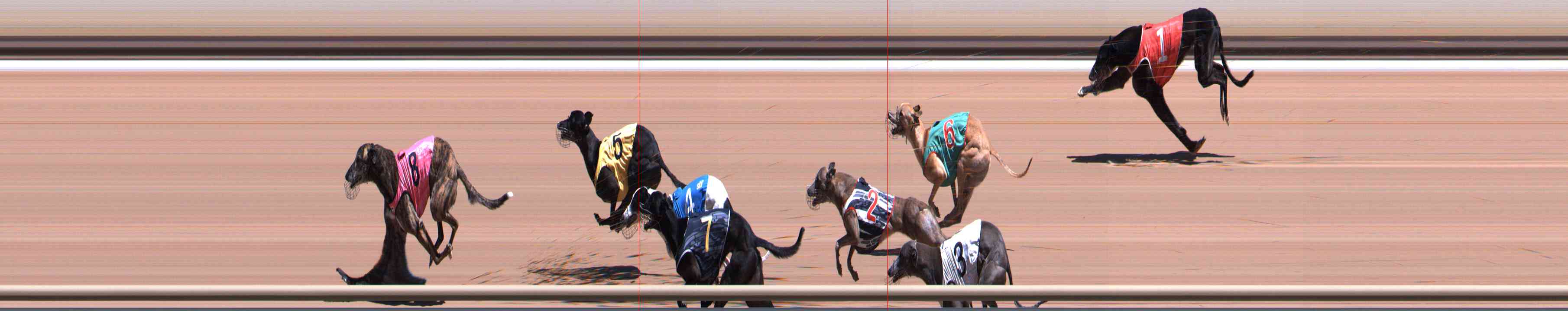 Photo finish for Healesville Race 6