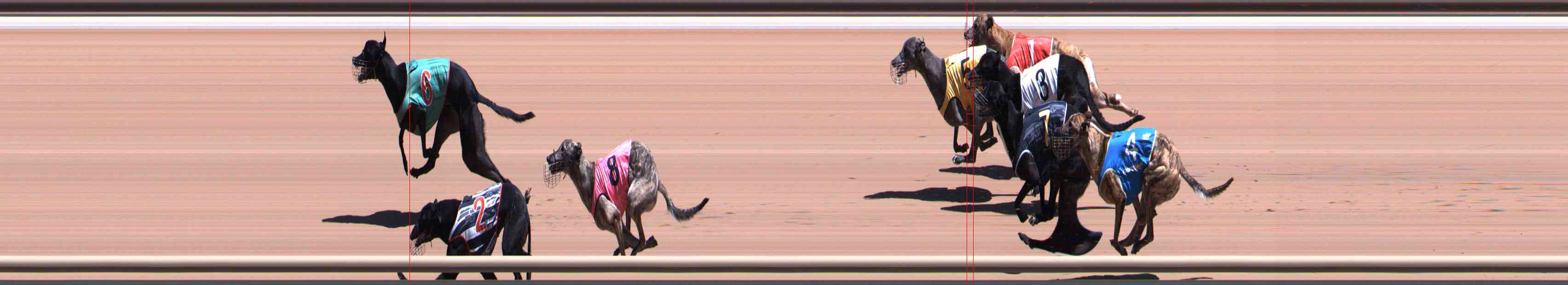 Photo finish for Healesville Race 7