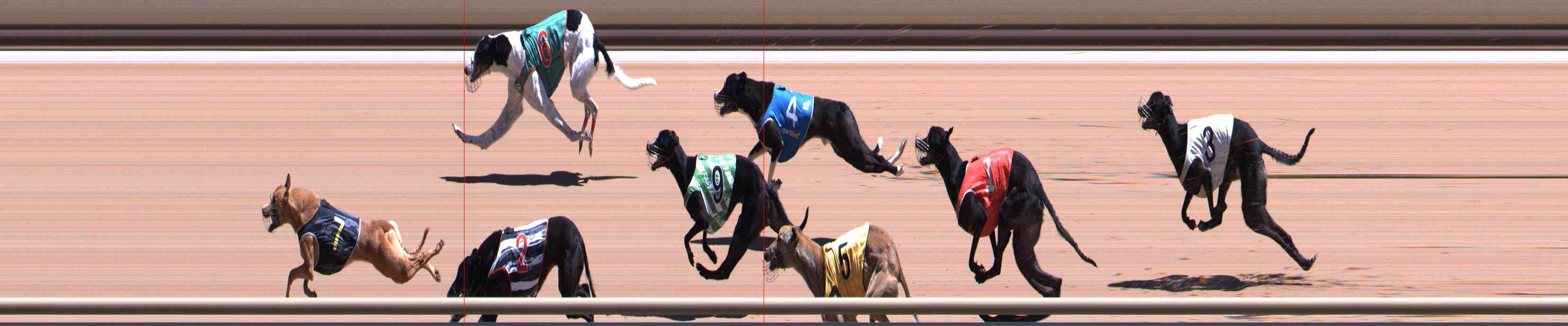 Photo finish for Healesville Race 8