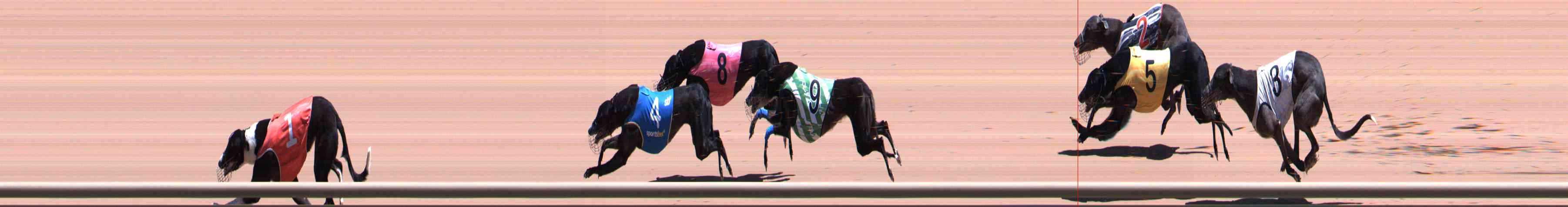 Photo finish for Healesville Race 9