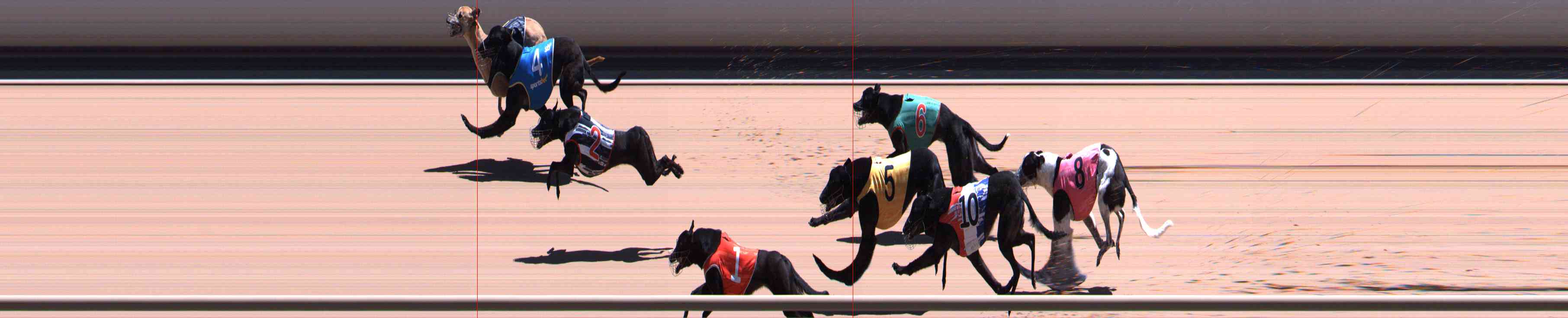 Photo finish for Healesville Race 10