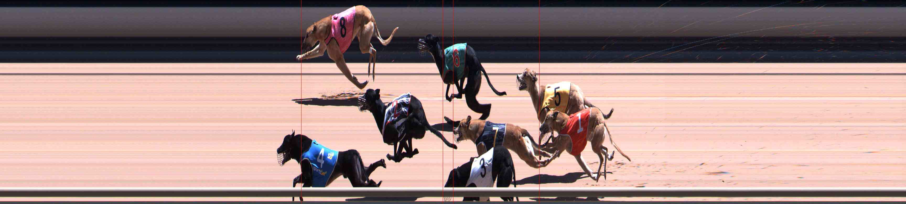 Photo finish for Healesville Race 11