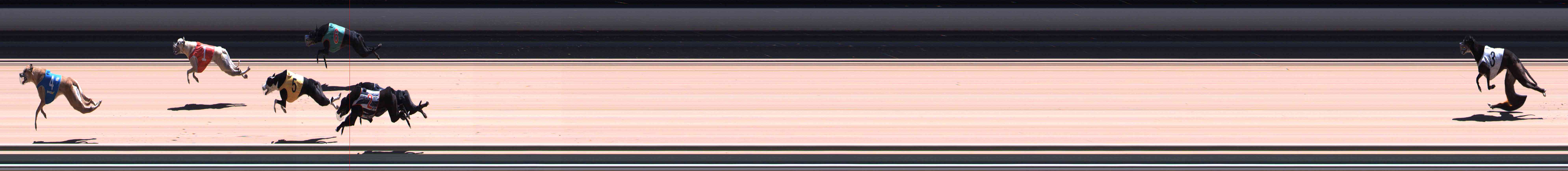 Photo finish for Healesville Race 12