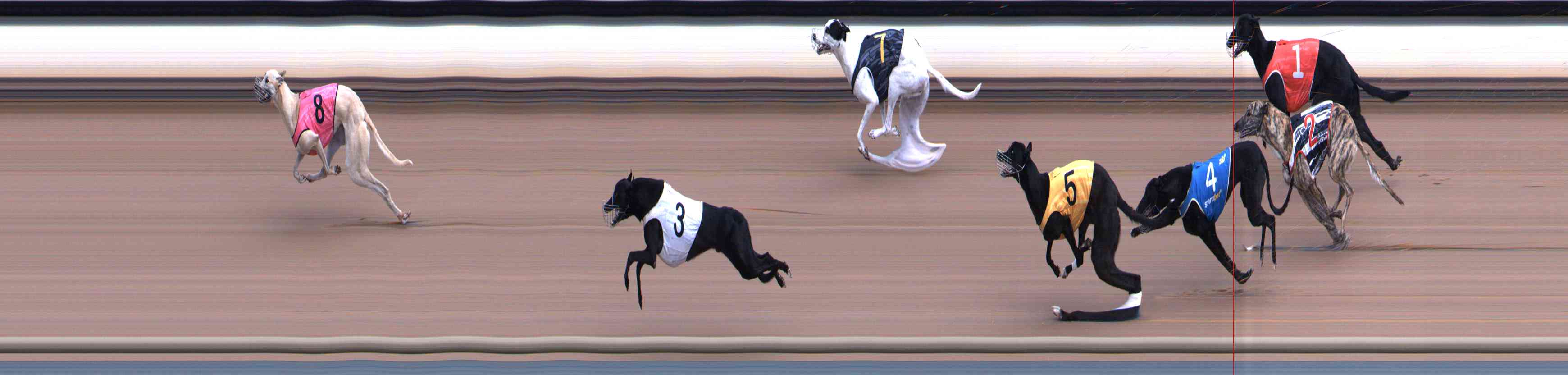 Race result finish photo