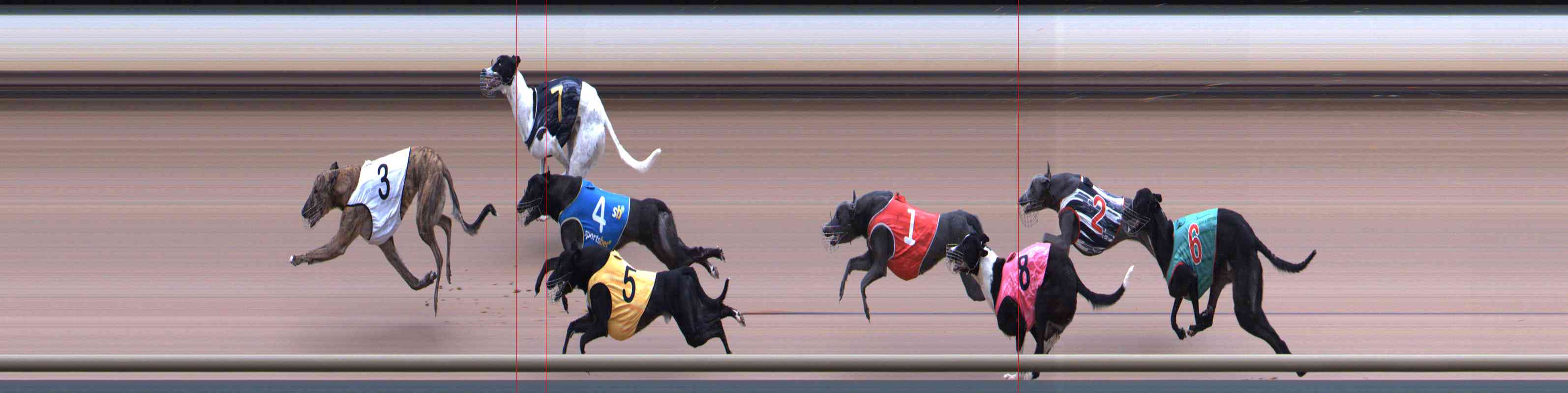 Photo finish for Healesville Race 2