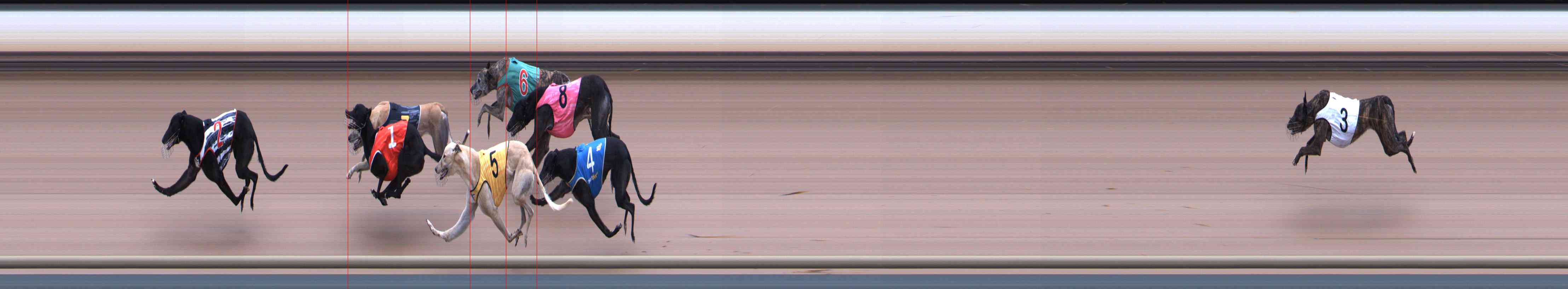 Photo finish for Healesville Race 3