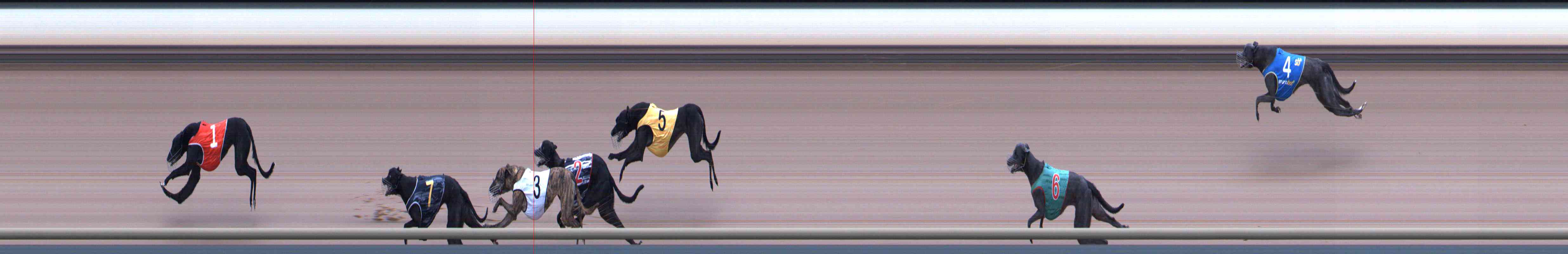 Photo finish for Healesville Race 4