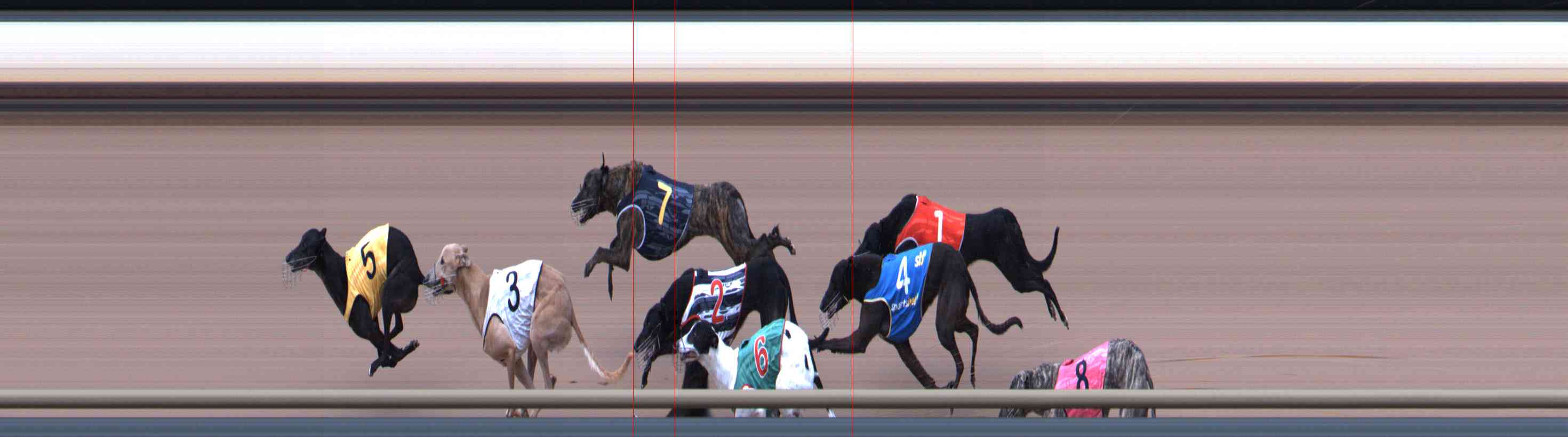 Photo finish for Healesville Race 5
