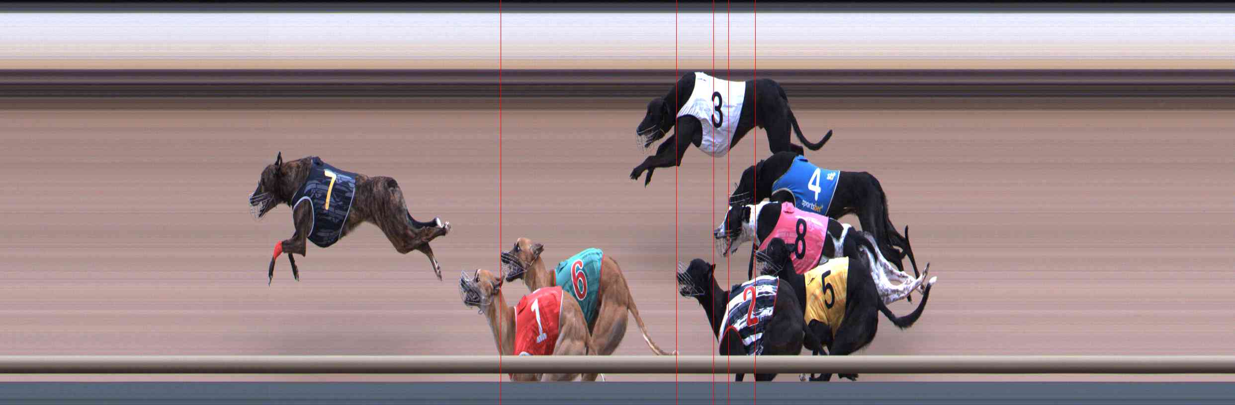 Photo finish for Healesville Race 6