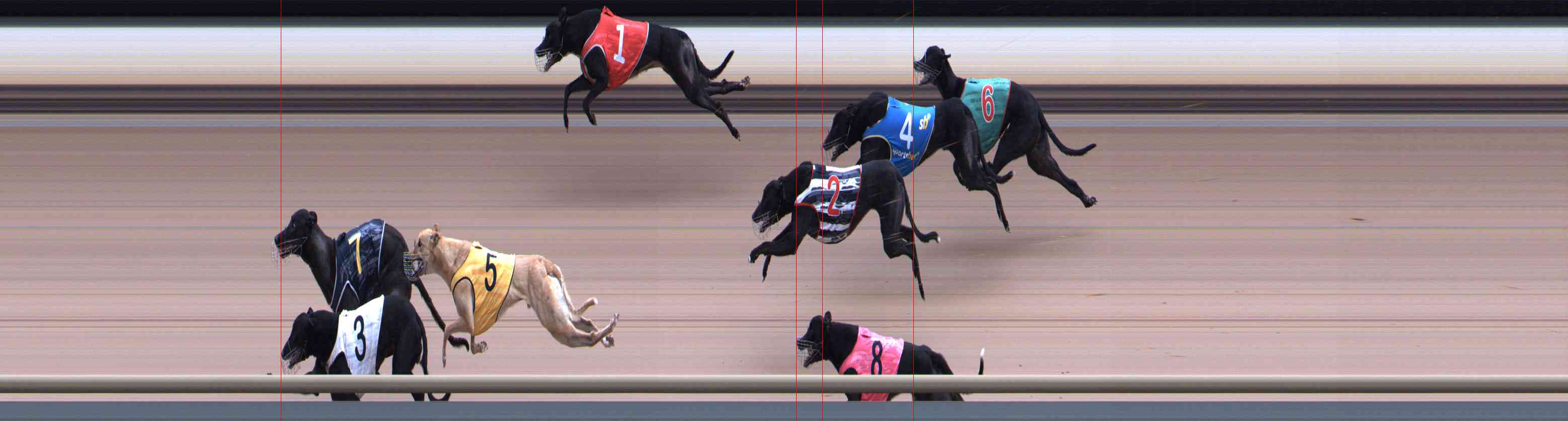Photo finish for Healesville Race 7