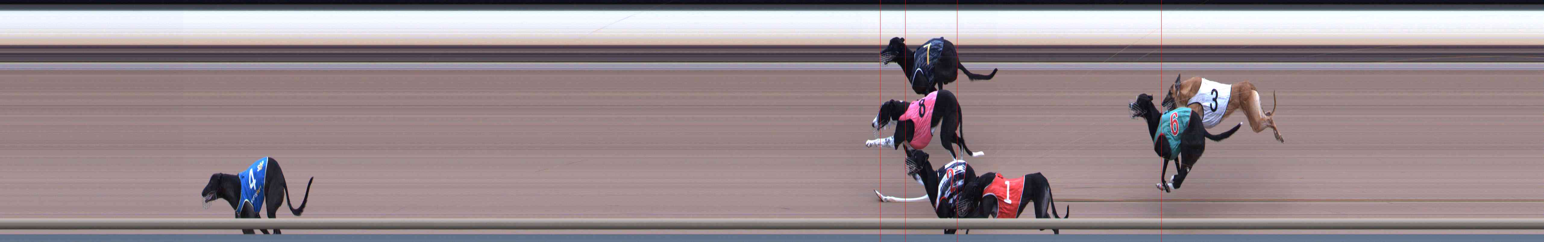 Photo finish for Healesville Race 8