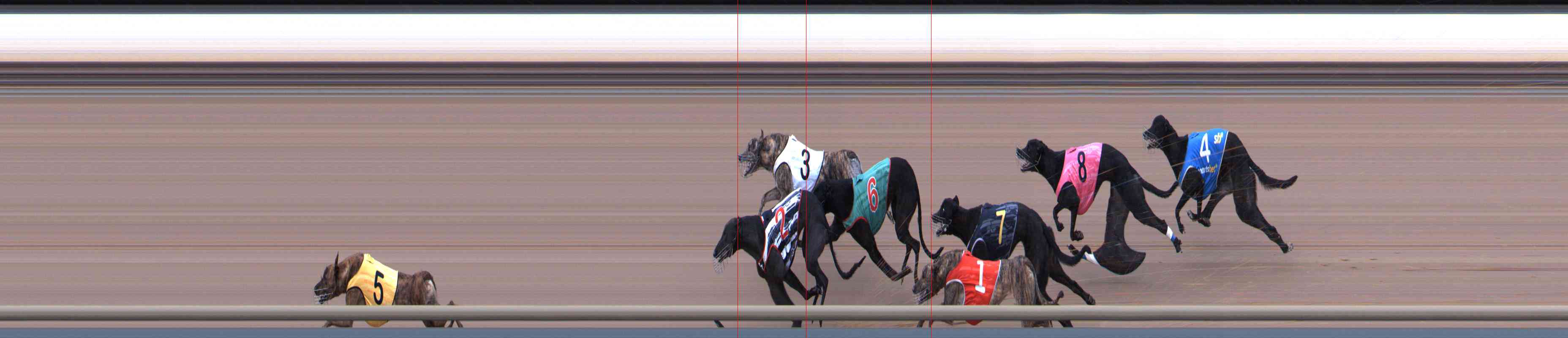 Photo finish for Healesville Race 9