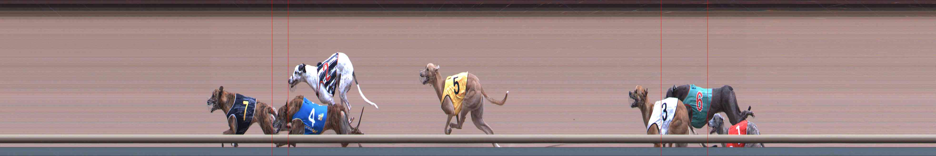 Photo finish for Healesville Race 10