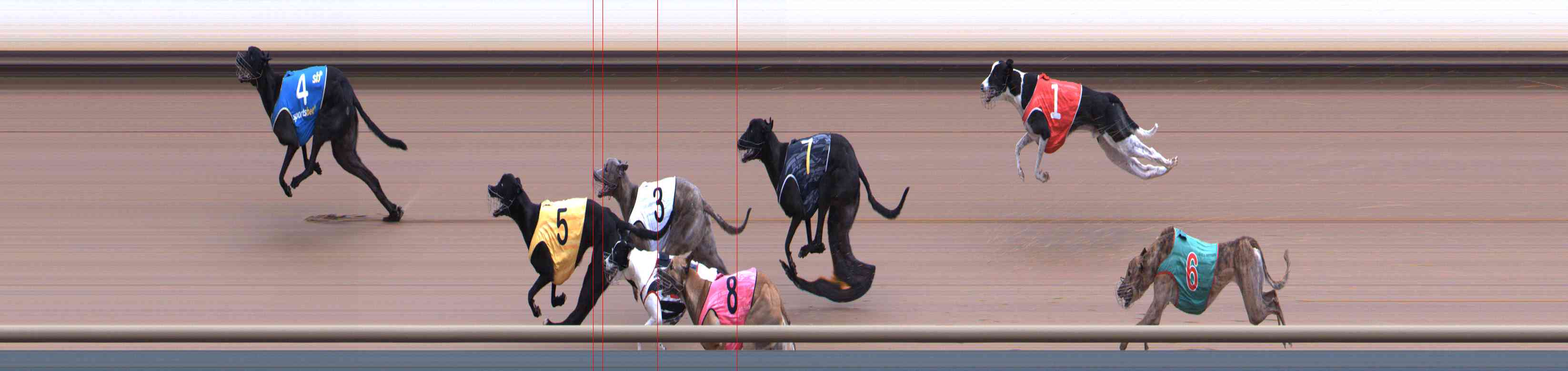 Photo finish for Healesville Race 11