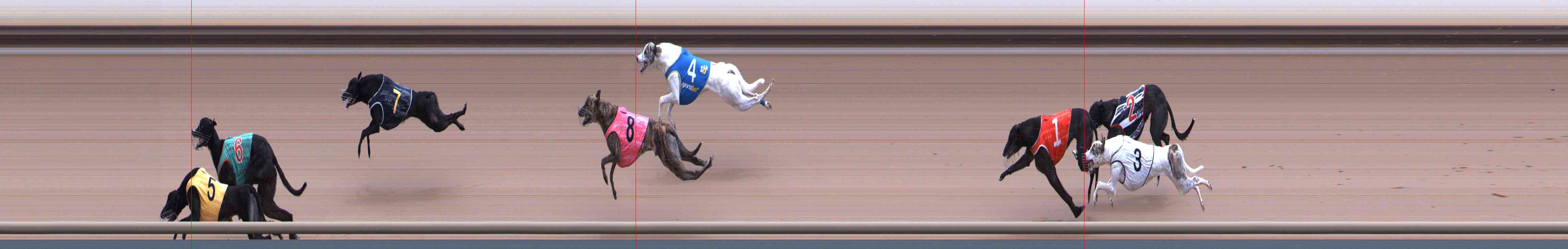 Photo finish for Healesville Race 12