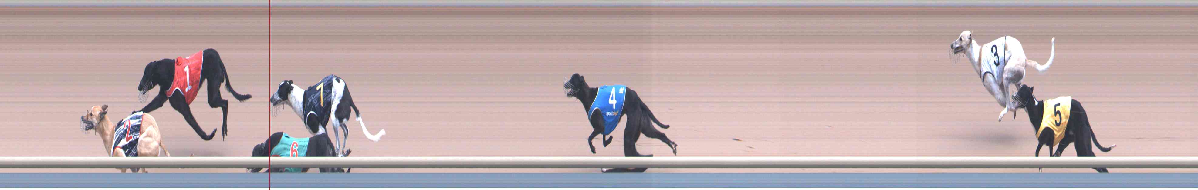 Photo finish for Healesville Race 2