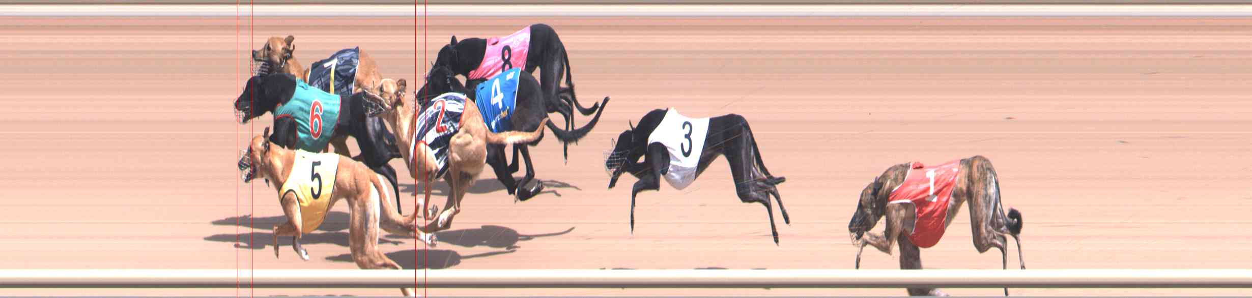 Photo finish for Healesville Race 3