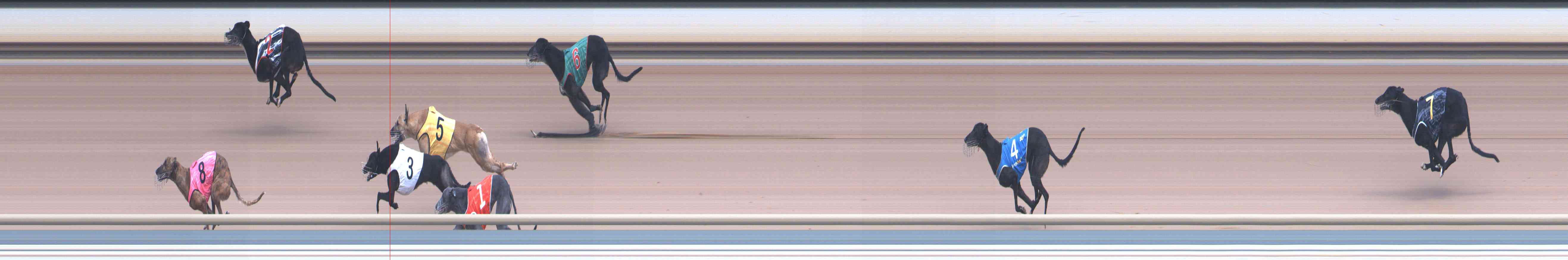 Photo finish for Healesville Race 4