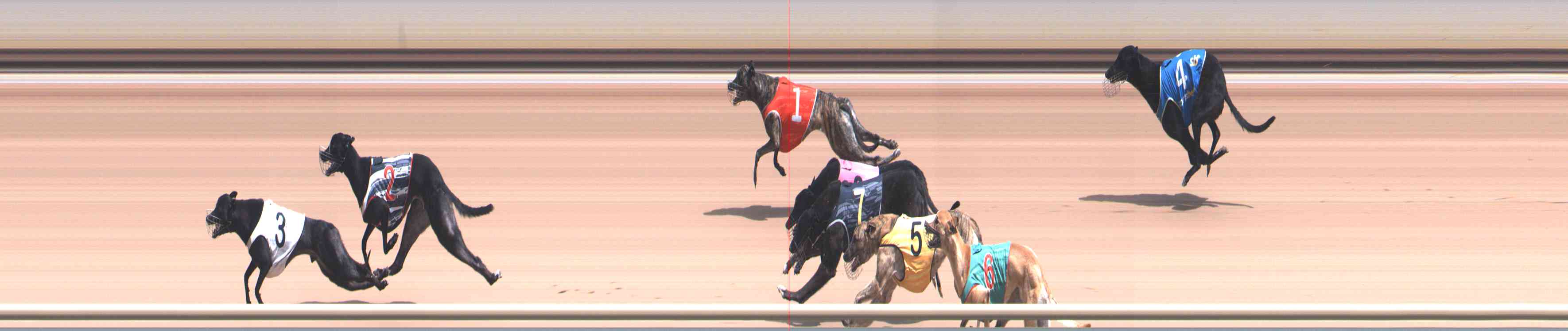 Photo finish for Healesville Race 5