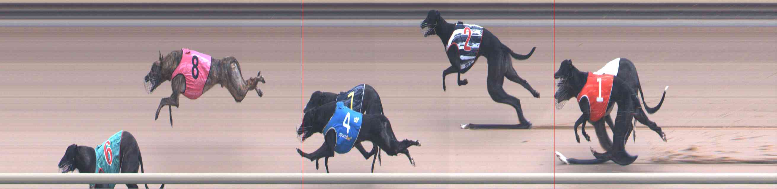 Photo finish for Healesville Race 6