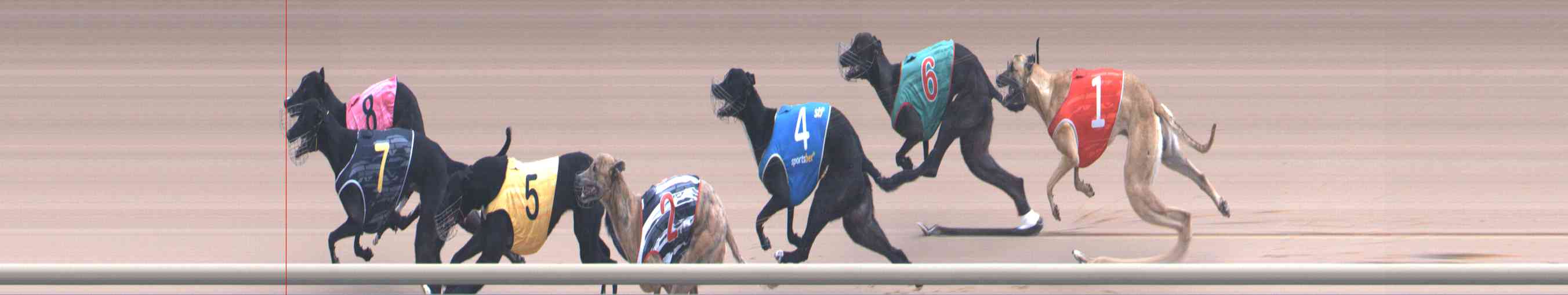 Photo finish for Healesville Race 7