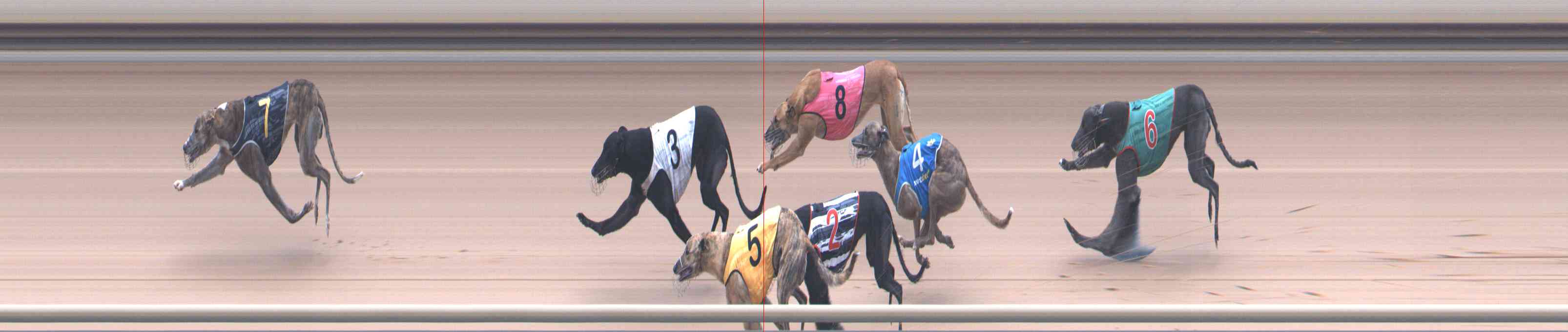 Photo finish for Healesville Race 8