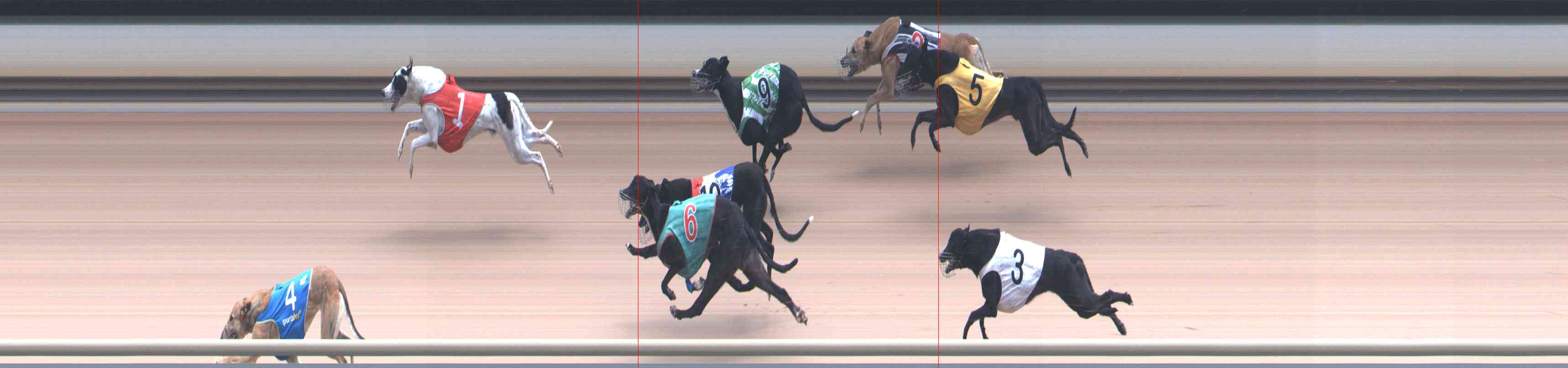 Photo finish for Healesville Race 9