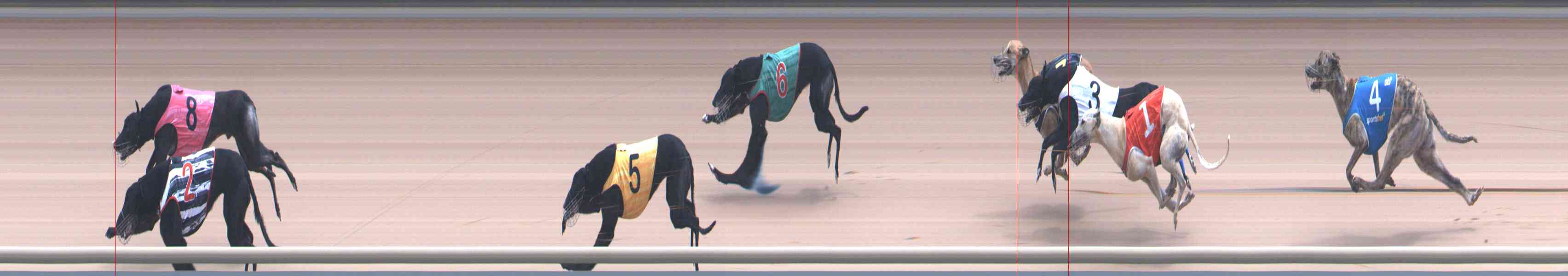 Photo finish for Healesville Race 10