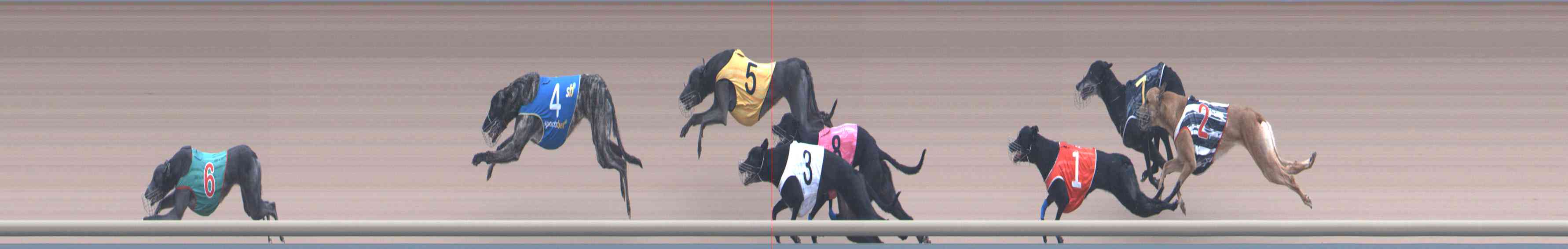Photo finish for Healesville Race 11