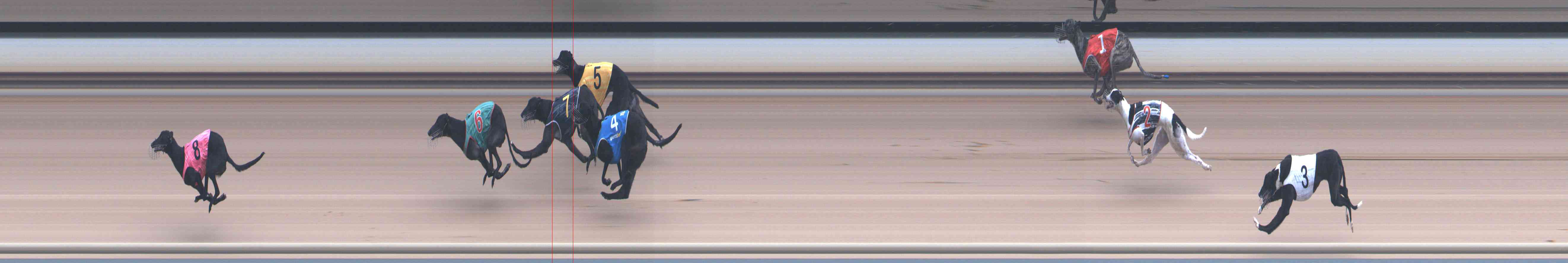 Photo finish for Healesville Race 12