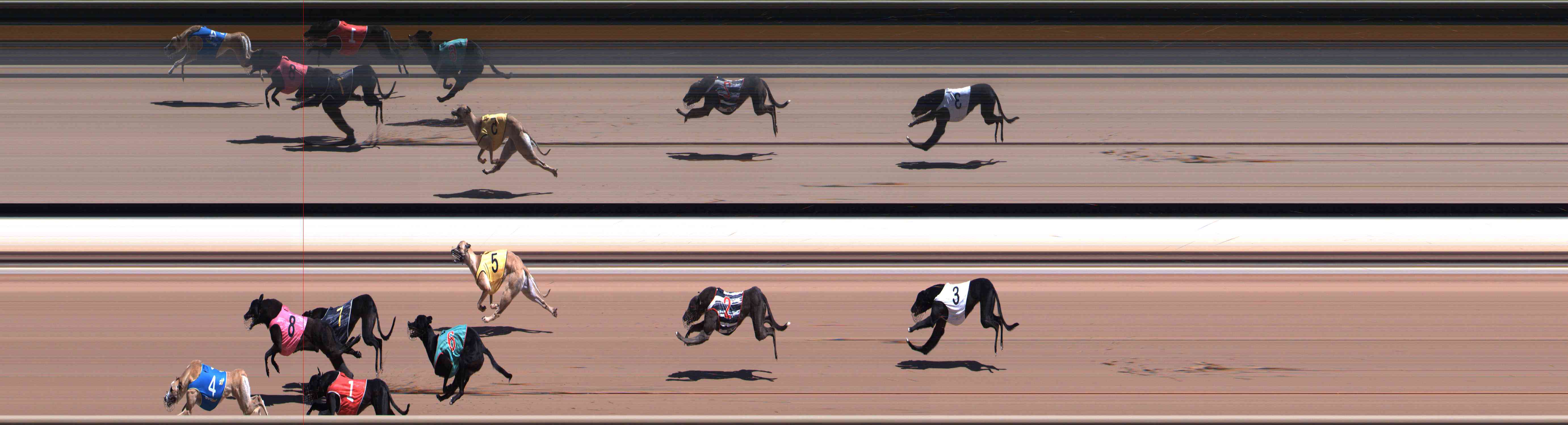 Photo finish for Healesville Race 1