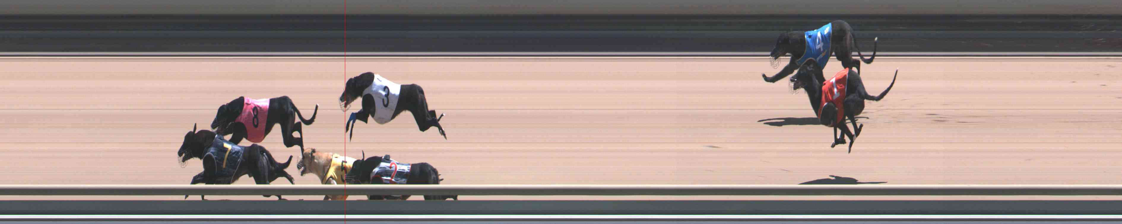 Photo finish for Healesville Race 10