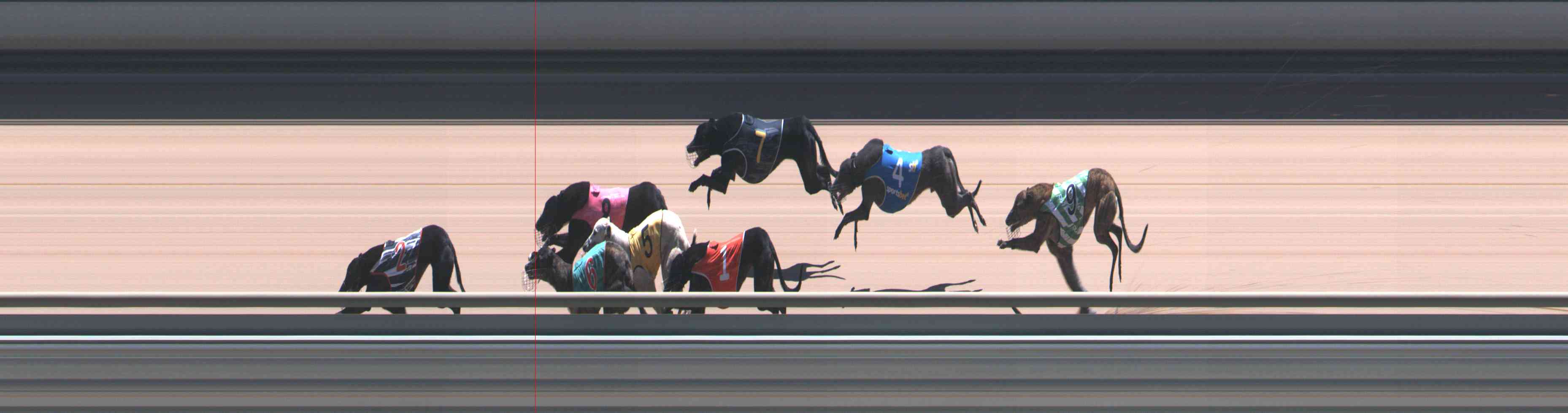 Photo finish for Healesville Race 11