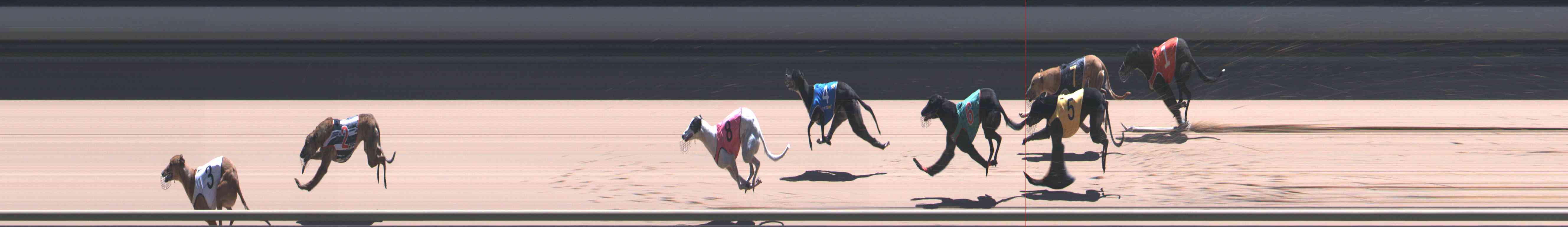 Photo finish for Healesville Race 12