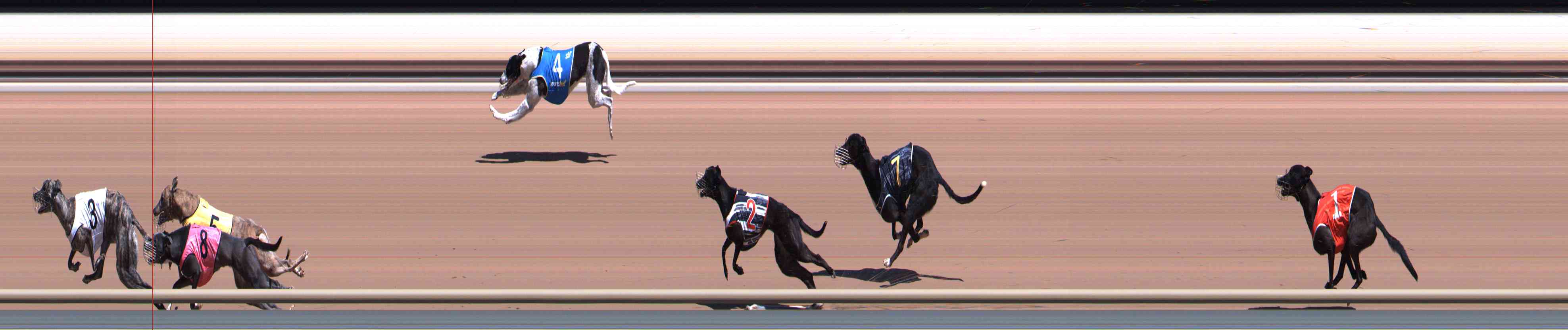 Photo finish for Healesville Race 2