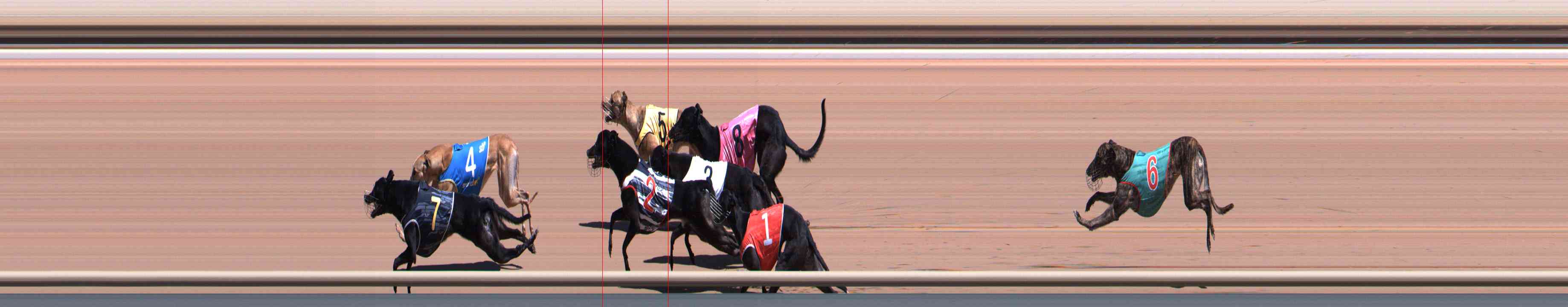 Photo finish for Healesville Race 3