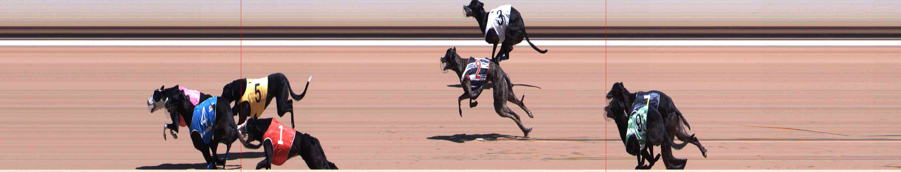 Photo finish for Healesville Race 4