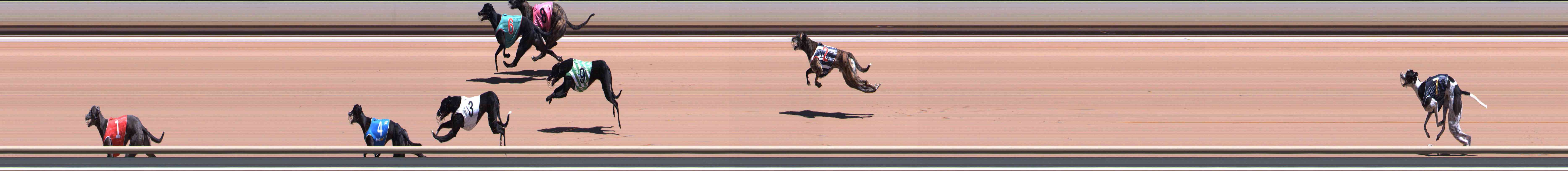 Photo finish for Healesville Race 5