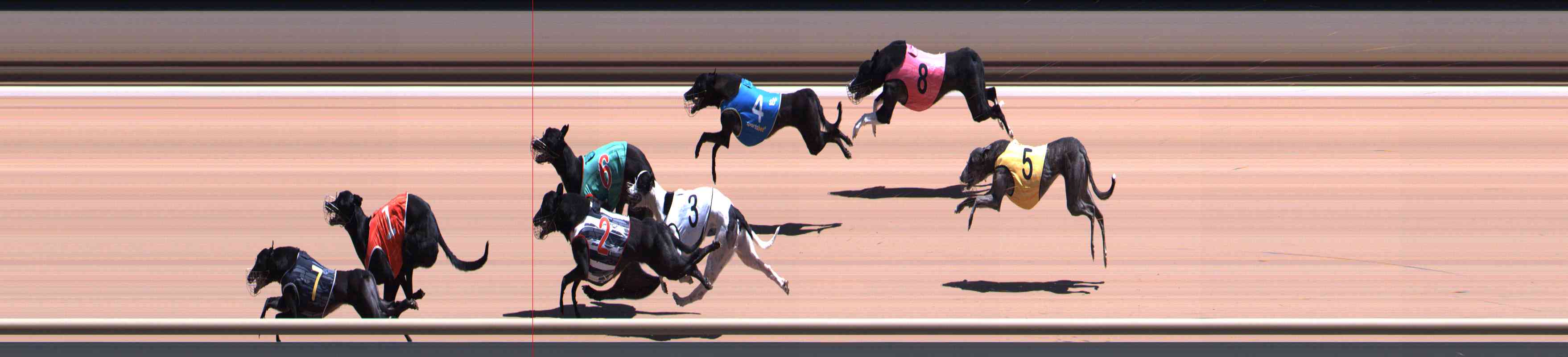 Photo finish for Healesville Race 6