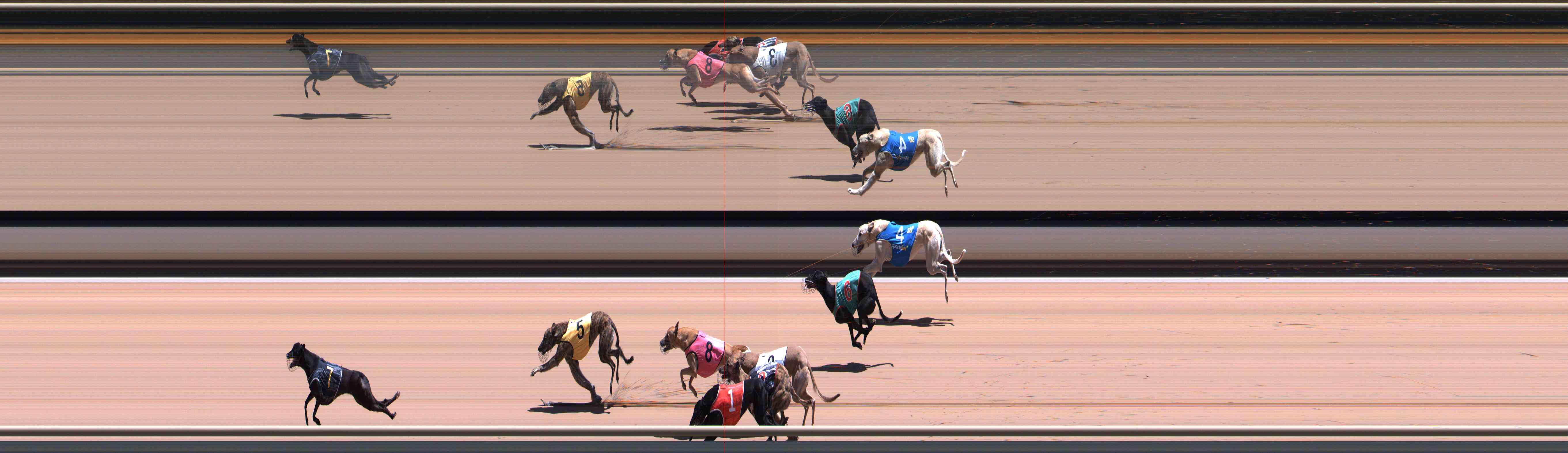 Photo finish for Healesville Race 7
