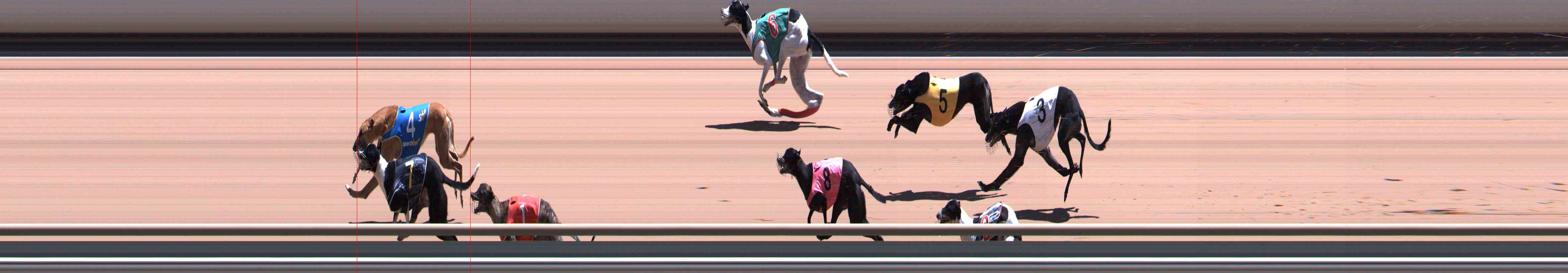 Photo finish for Healesville Race 8
