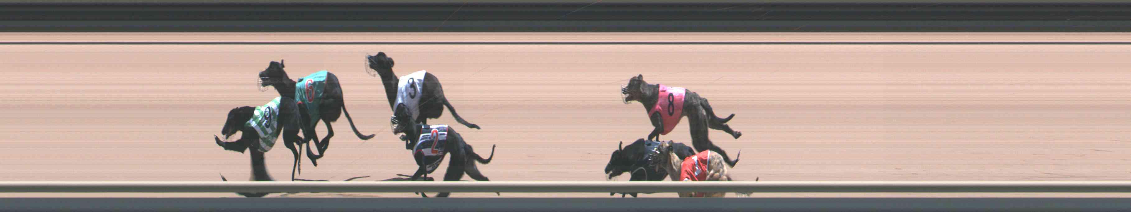 Photo finish for Healesville Race 9