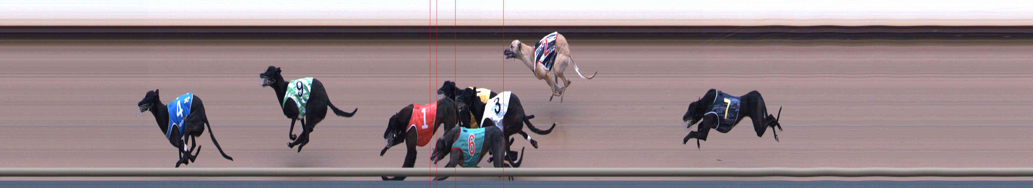 Photo finish for Healesville Race 1