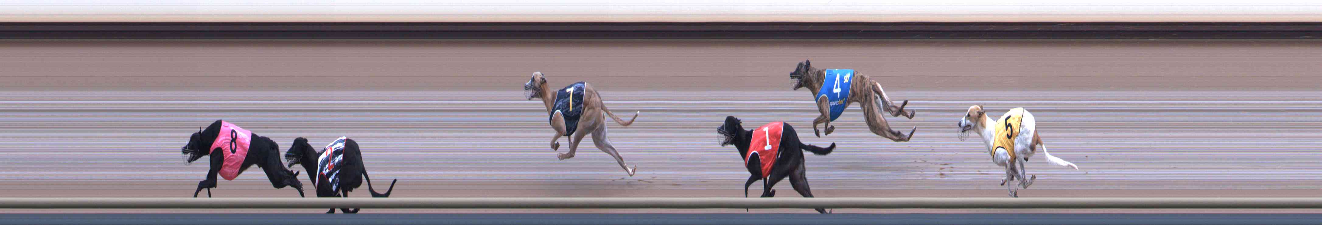 Photo finish for Healesville Race 10