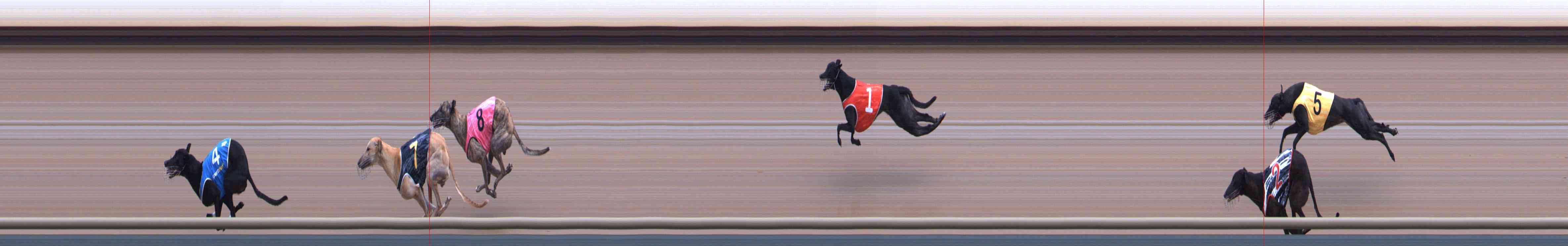 Photo finish for Healesville Race 11